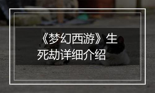 《梦幻西游》生死劫详细介绍