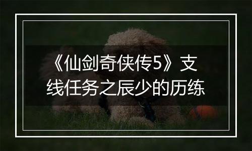 《仙剑奇侠传5》支线任务之辰少的历练