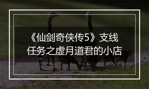 《仙剑奇侠传5》支线任务之虚月道君的小店