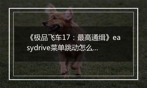 《极品飞车17：最高通缉》easydrive菜单跳动怎么办
