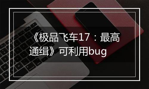 《极品飞车17：最高通缉》可利用bug
