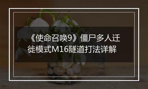 《使命召唤9》僵尸多人迁徙模式M16隧道打法详解