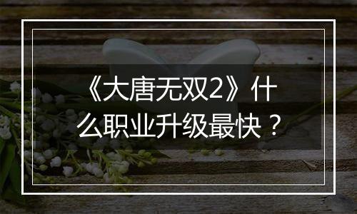 《大唐无双2》什么职业升级最快？