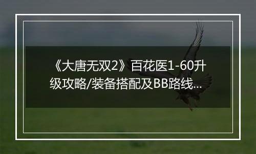 《大唐无双2》百花医1-60升级攻略/装备搭配及BB路线心得