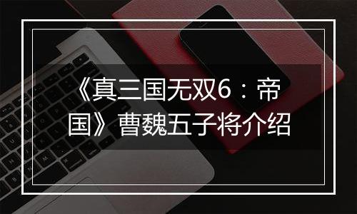 《真三国无双6：帝国》曹魏五子将介绍