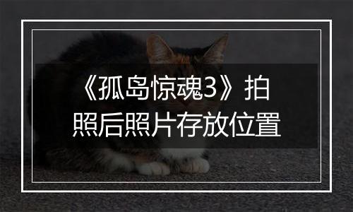 《孤岛惊魂3》拍照后照片存放位置