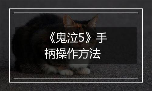 《鬼泣5》手柄操作方法