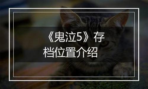 《鬼泣5》存档位置介绍