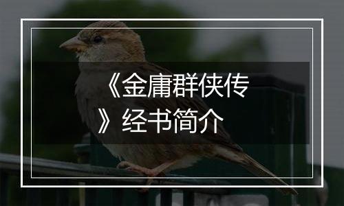《金庸群侠传》经书简介