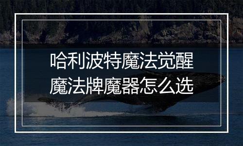 哈利波特魔法觉醒魔法牌魔器怎么选