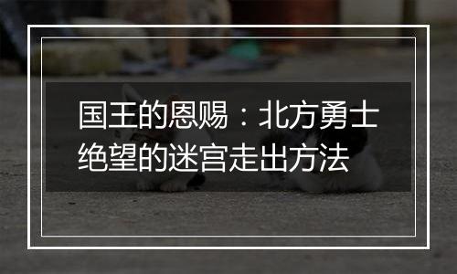 国王的恩赐：北方勇士绝望的迷宫走出方法
