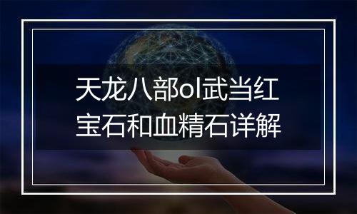 天龙八部ol武当红宝石和血精石详解