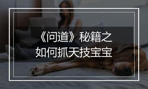 《问道》秘籍之如何抓天技宝宝