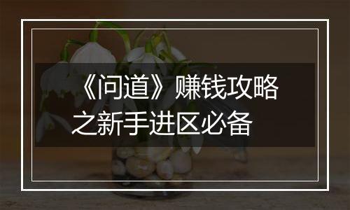 《问道》赚钱攻略之新手进区必备