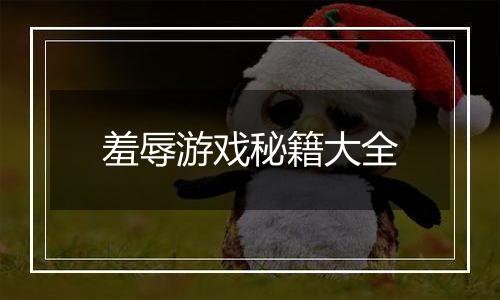 羞辱游戏秘籍大全