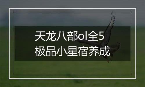 天龙八部ol全5极品小星宿养成