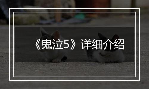 《鬼泣5》详细介绍