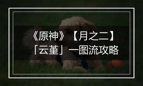 《原神》【月之二】「云堇」一图流攻略