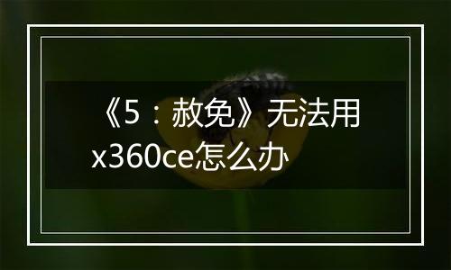 《5：赦免》无法用x360ce怎么办