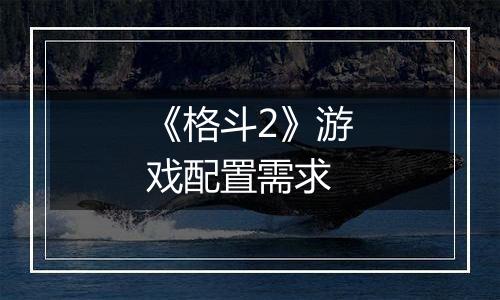 《格斗2》游戏配置需求