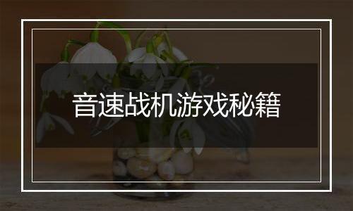 音速战机游戏秘籍