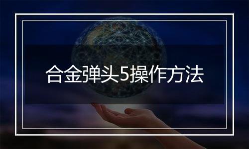 合金弹头5操作方法