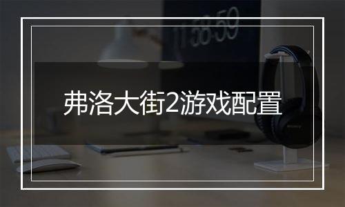 弗洛大街2游戏配置