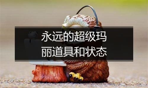 永远的超级玛丽道具和状态