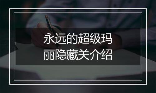 永远的超级玛丽隐藏关介绍