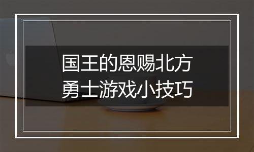 国王的恩赐北方勇士游戏小技巧