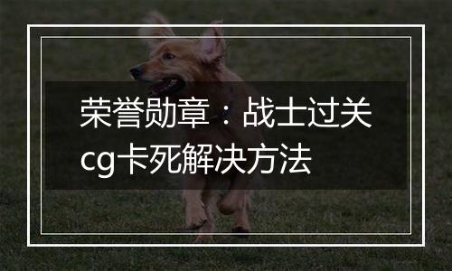 荣誉勋章：战士过关cg卡死解决方法