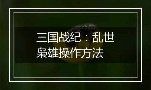 三国战纪：乱世枭雄操作方法