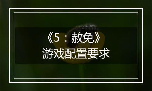 《5：赦免》游戏配置要求