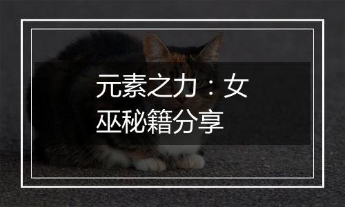 元素之力：女巫秘籍分享