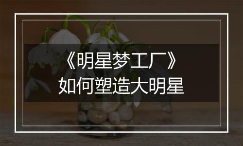 《明星梦工厂》如何塑造大明星