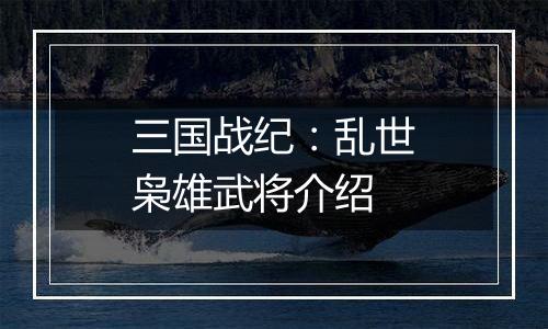 三国战纪：乱世枭雄武将介绍