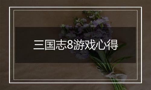 三国志8游戏心得