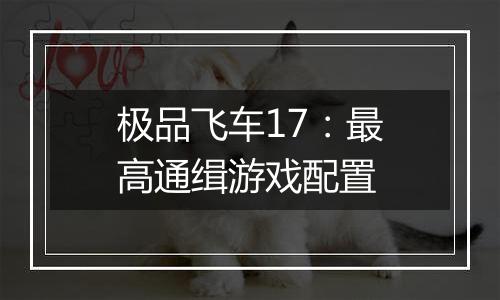 极品飞车17：最高通缉游戏配置