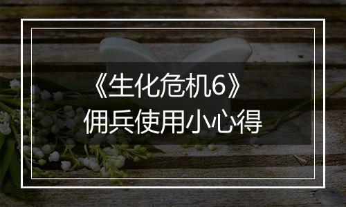 《生化危机6》佣兵使用小心得