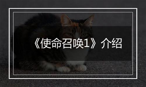 《使命召唤1》介绍