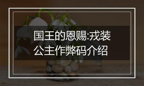 国王的恩赐:戎装公主作弊码介绍