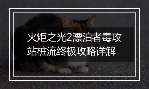 火炬之光2漂泊者毒攻站桩流终极攻略详解