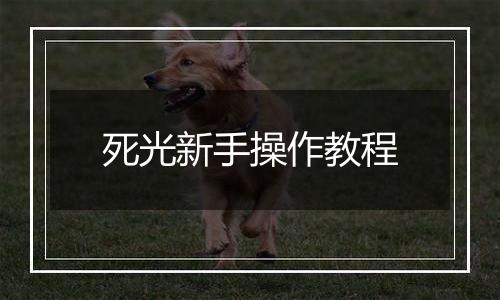 死光新手操作教程