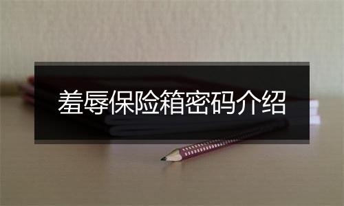 羞辱保险箱密码介绍