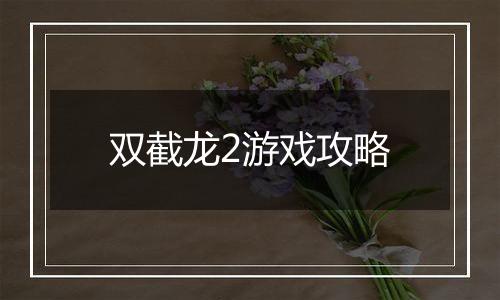 双截龙2游戏攻略