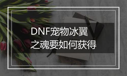 DNF宠物冰翼之魂要如何获得