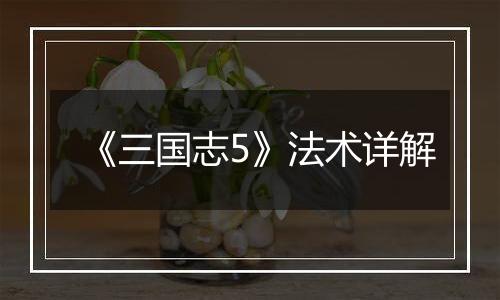 《三国志5》法术详解