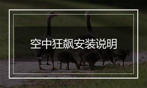 空中狂飙安装说明