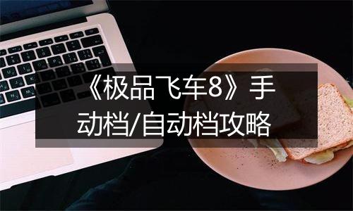 《极品飞车8》手动档/自动档攻略