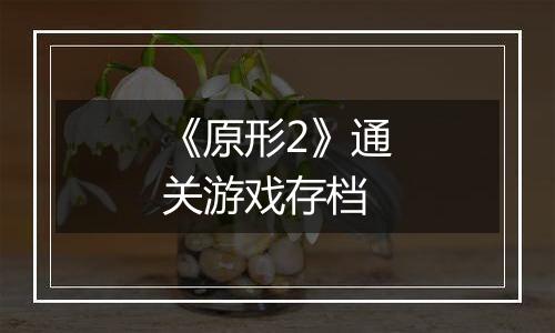 《原形2》通关游戏存档